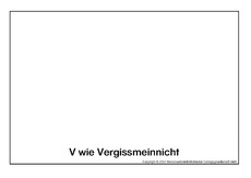 V-wie-Vergissmeinnicht.pdf